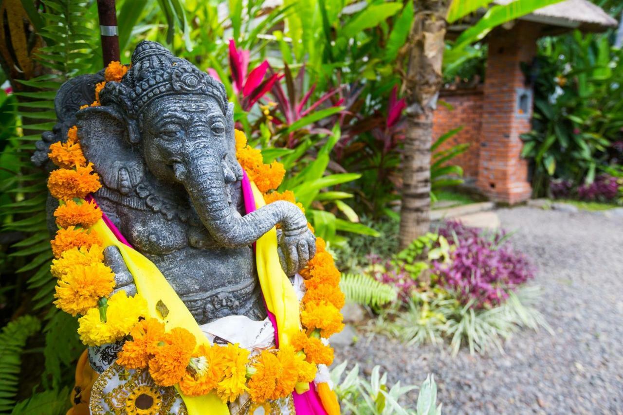 Lata Lama Ловина Экстерьер фото